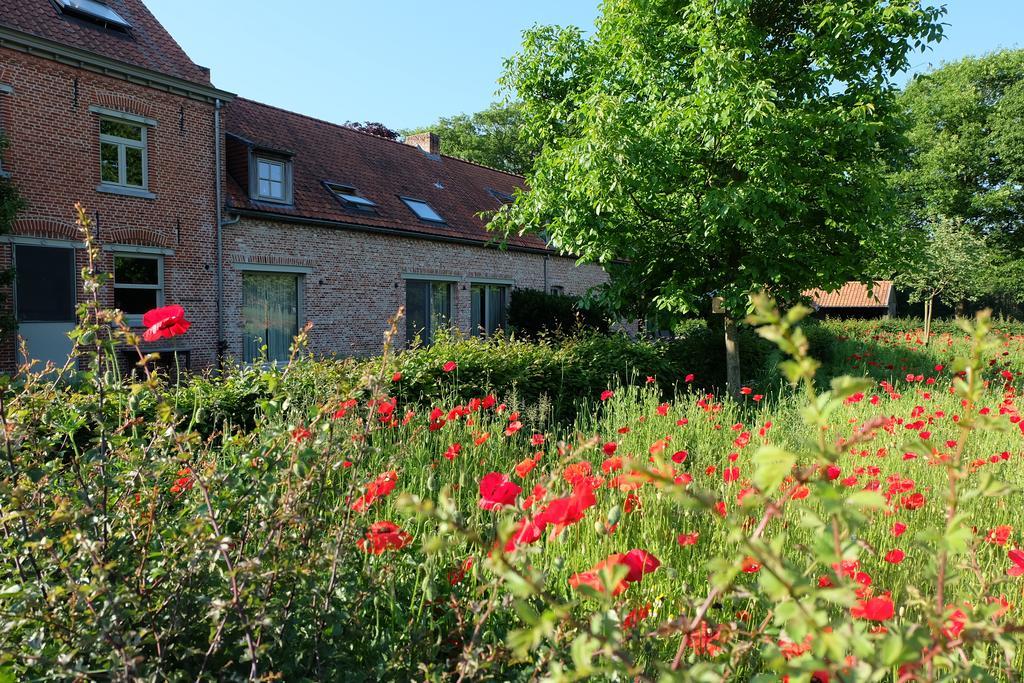 Bed & Breakfast 15